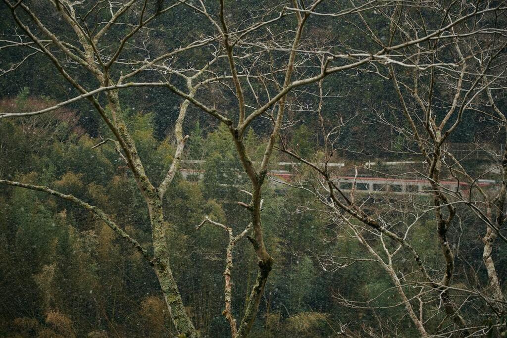目の前が吉野川・雨天でも屋外体験ができる絶景の一軒家 Villa Otoyocho Luaran gambar